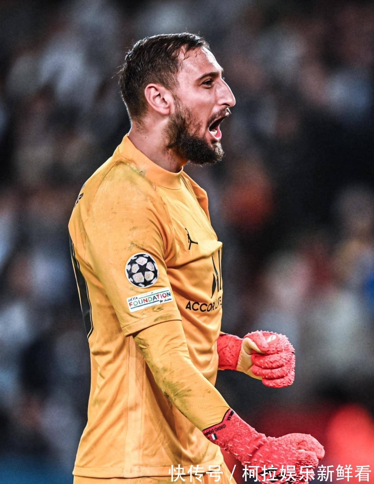 建冷库需要哪些手续